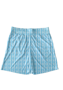 Premium Designer Shorts