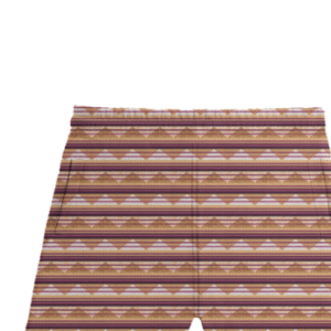 Premium Designer Sports Short